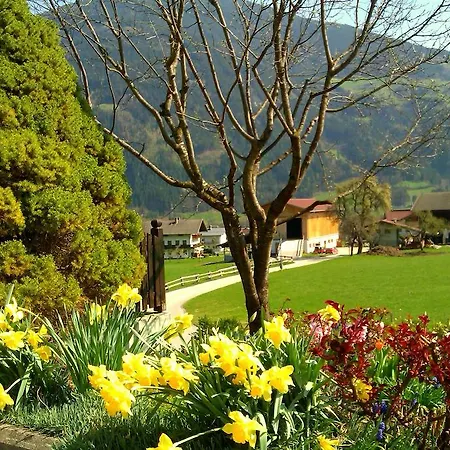 Daire - Ferienwohnung Waldrand Ried im Zillertal