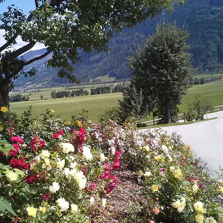 Daire - Ferienwohnung Waldrand Ried im Zillertal