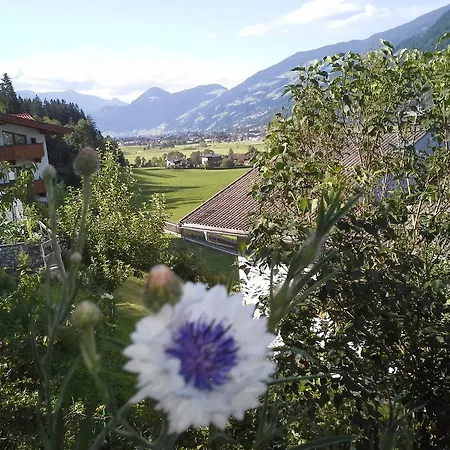 Daire - Ferienwohnung Waldrand Ried im Zillertal